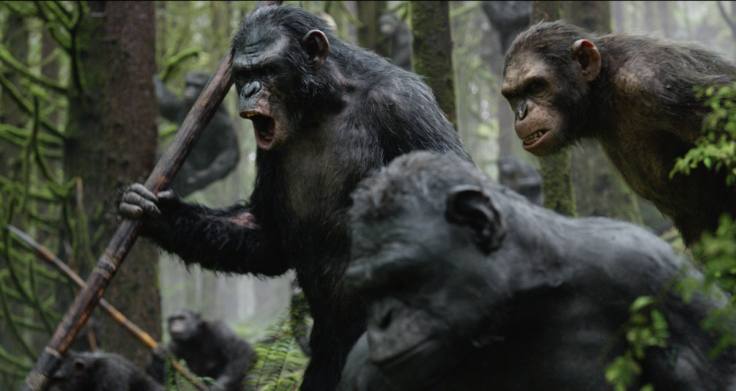 La planète des Singes - L'affrontement